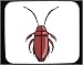 Decorated Mouse Pad with insect, beetle, brown, specimen, crawling