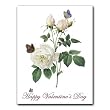 Rosa Indica - Valentine's Day Gift Enclosure Cards (set of 12)