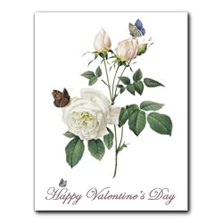 Rosa Indica - Valentine's Day Gift Enclosure Cards (set of 12)