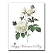 Rosa Indica - Valentine's Day Gift Enclosure Cards (set of 12)