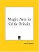 Books : Magic Arts in Celtic Britain