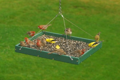 Songbird Essentials Lrg. Hanging Platform Feeder