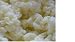 Milk Kefir Grains
