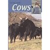 The Secret Life of Cows