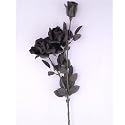 Black Long Stem Rose Bouquet Adult