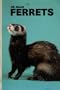 All About Ferrets