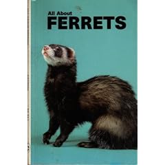 All About Ferrets