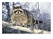 Montana, Raccoon, Photographic Poster Print by Michele Burgess, 40x30