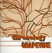 Chronology a young persons�f guide to Grapevine
