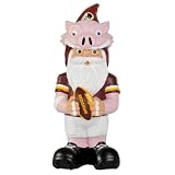 NFL Washington Redskins Team Thematic Gnome