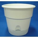 ���i�̏ڍ�