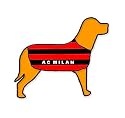 AC Milan Personalised Waterproof Dog Coat Size M (18" 45cm)