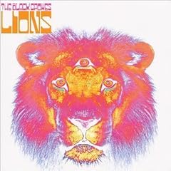 【クリックで詳細表示】ライオン