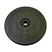 10 KG Hantelscheibe Hantelscheiben