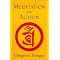Try Vipassana