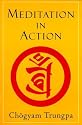 Meditation in Action