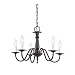 Sea Gull Lighting 3121-72 Traditional 5-Light Chandelier, Olde Iron