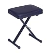 Casio Portable Keyboard Bench (Pbench)