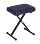 Casio Portable Keyboard Bench (Pbench)