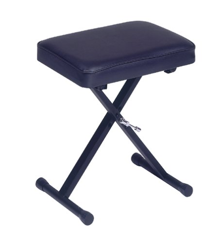 Childrens Toyshop  Musical Instruments : Casio Portable Keyboard Bench (Pbench)