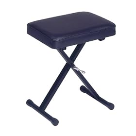 Casio Portable Keyboard Bench (Pbench)