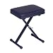 Casio Portable Keyboard Bench (Pbench)