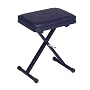 Casio Portable Keyboard Bench (Pbench)