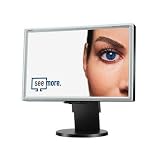 NEC MultiSync LCD2070WNX - Flat panel display - TFT - 20.1 - widescreen - 1680 x 1050 / 60 Hz - 300 cd/m2 - 500:1 - 10 ms - DVI-D, VGA