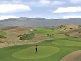 Tiger Woods PGA Tour 2007 (PC DVD)