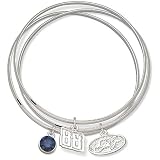 Dale Earnhardt Jr. #88 Triple NASCAR Bangle Bracelet Set w/ Blue Crystal