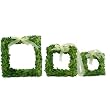 Preserved Boxwood Wreath Set - Square 3pc (6