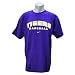 (�ʥ���)Nike NCAA �륤�����ʽ�Ω���LSU���������� Baseball Practice T����� (�ѡ��ץ�)