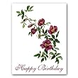 Wild Rose - Birthday Gift Enclosure Cards (set of 12)