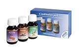 3PK 1.76OZ Fragrances