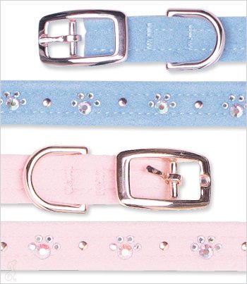 Dog Collar Crystal Paws Puppy Blue (LG)