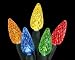 Holiday Lighting Service Install Christmas Lights Decor Business Plan NEW!