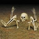 Light Up Lawn Skeleton