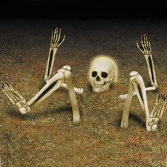 Light Up Lawn Skeleton