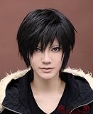 コスプレウィッグ☆デュラララ!! 折原臨也＋ウイッグネット