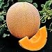 Hales Best Jumbo Cantaloupe 50 Seeds