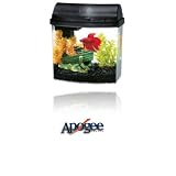 Aqueon Double Sided Black Mini Bow Desktop Aquarium Kit