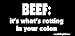 Beef: It's What's Rotting In Your Colon Vegan Bumper Sticker / Decal