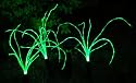 Wild Grass Solar Garden Lights (3 LED Lights). Spring Garden Outdoor Lighting and Decorations.