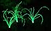 Wild Grass Solar Garden Lights (6 LED Lights, 2 solar stakes). Spring outdoor lighting using Free solar energy.