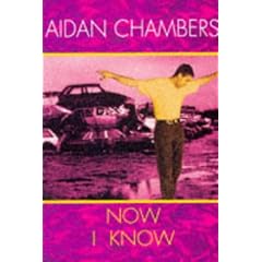 Now I Know (Red Fox young adult books)