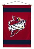 IOWA STATE CYCLONES OFFICIAL TEAM JERSEY WALL BANNER