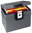 Honeywell 2037 Protector 1070-Cubic-Inch 1/2-Hour Fire Waterproof Hanging File Safe