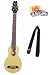 Washburn RO10 Rover Steel String Acoustic Travel Guitar Bundle with Strap, Pick Card, and Polishing 