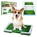 Exclusive Puppy Potty Trainer Indoor Grass Training Patch - 3 Layers By TOTAL VISION
