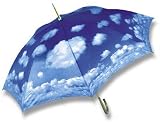 Salamander Graphix - Adult Blue/ White Cloud Stick Umbrella